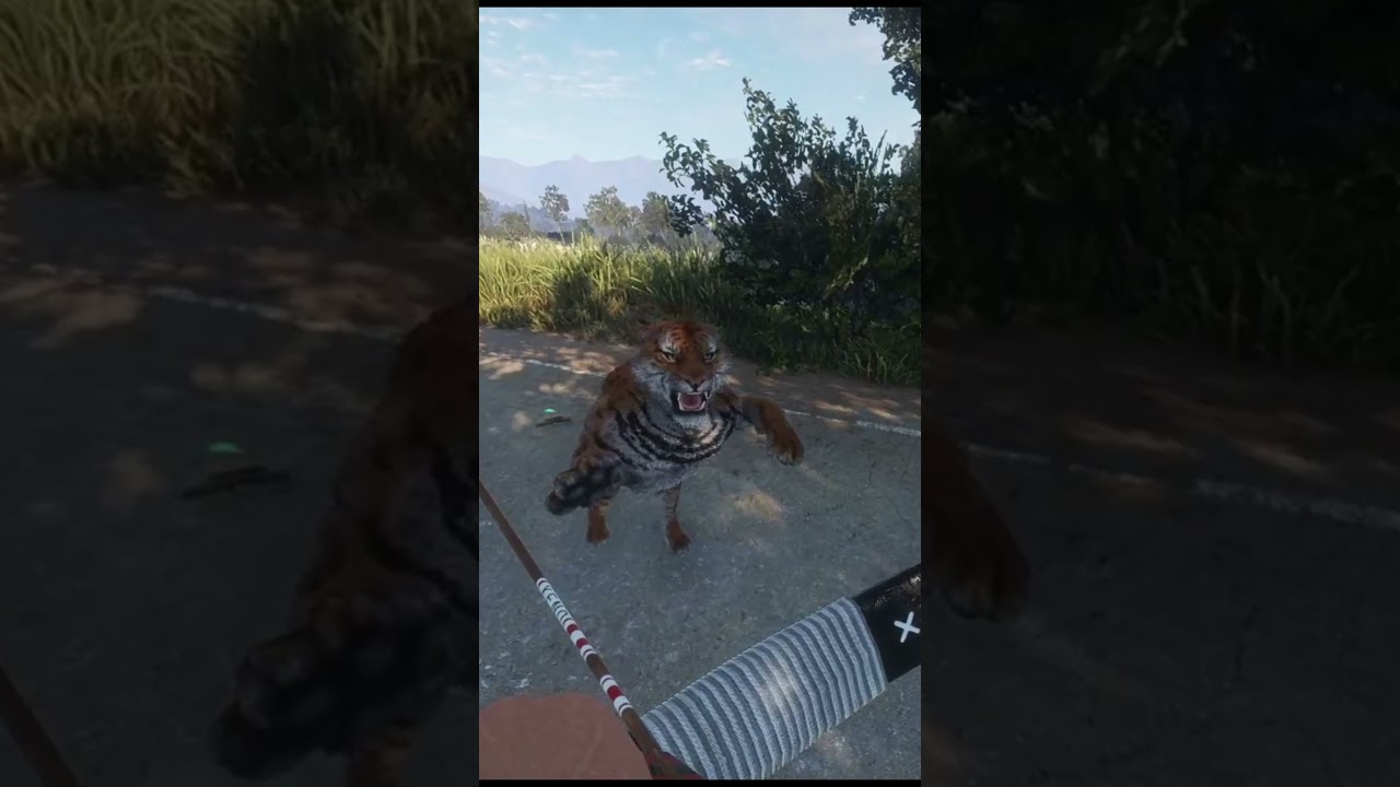 Мем «Убийство тигра» в «Охотнике: Зов дикой природы»