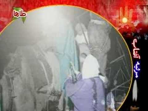   نریمان پناهی سفر کرببلا حاصلش رنج و بلاست