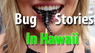 Top 5 Bug Stories in Hawaii
