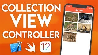 Swift 4.2 Xcode Tutorial - Collection View Part 1 - iOS 12 Geeky Lemon Development