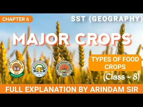MAJOR CROPS - Class 8 Geography (Chapter 6) SST || Types Of Food Crops Explained ||