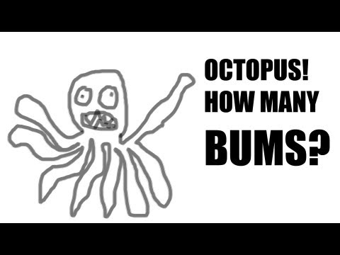 Octopus Butt