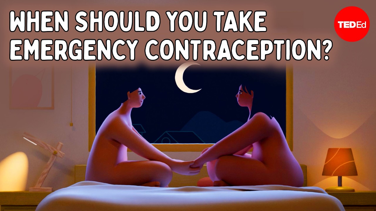 How does the morning-after pill prevent pregnancy? - Alison Edelman