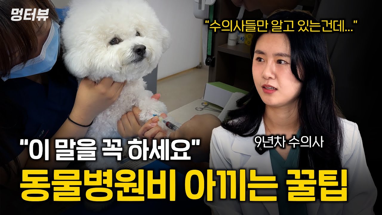 동물병원비 이렇게 하면 훨씬 저렴해집니다 (수십만원 아낄 수 있어요) | 멍터뷰ep.51