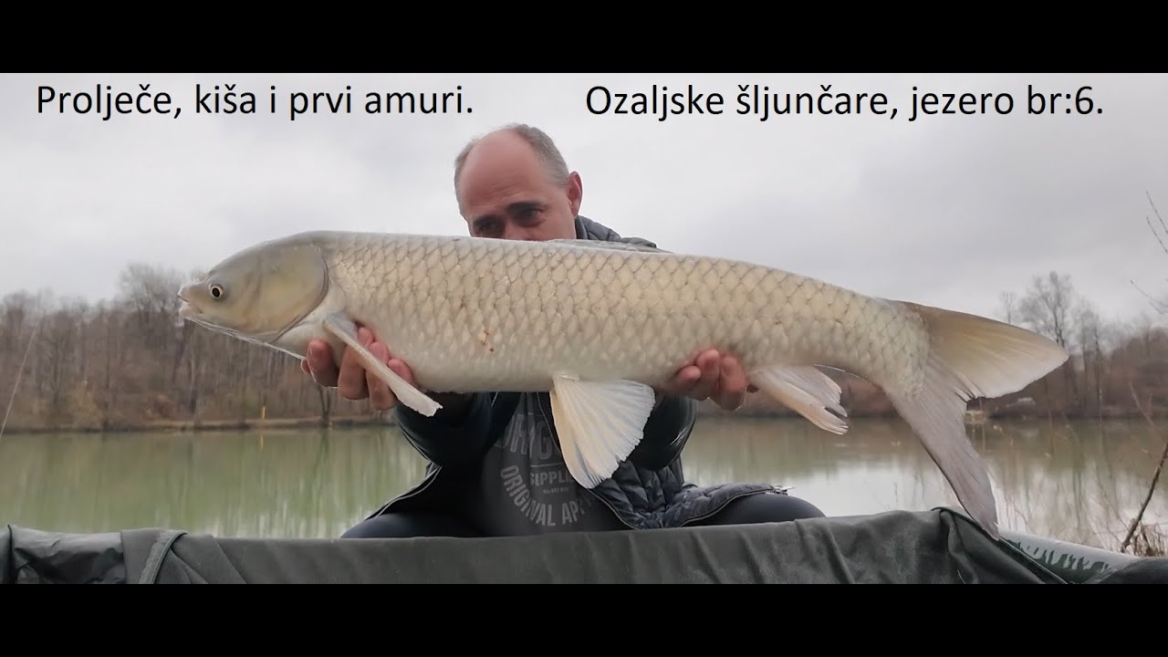 OZALJ ŠESTICA PO KIŠI