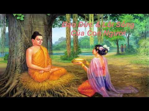 Video Đạo Đức & Lối Sống Con Người (Hay) - youtube