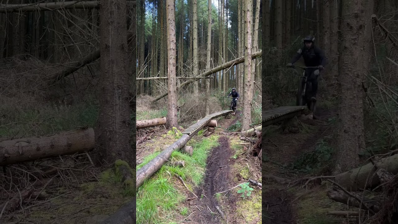 Testing my balance at Tardree Forest Northern Ireland. 