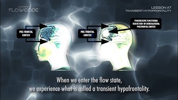 Transient Hypofrontality - FlowCode Lesson #7 / Flow state training