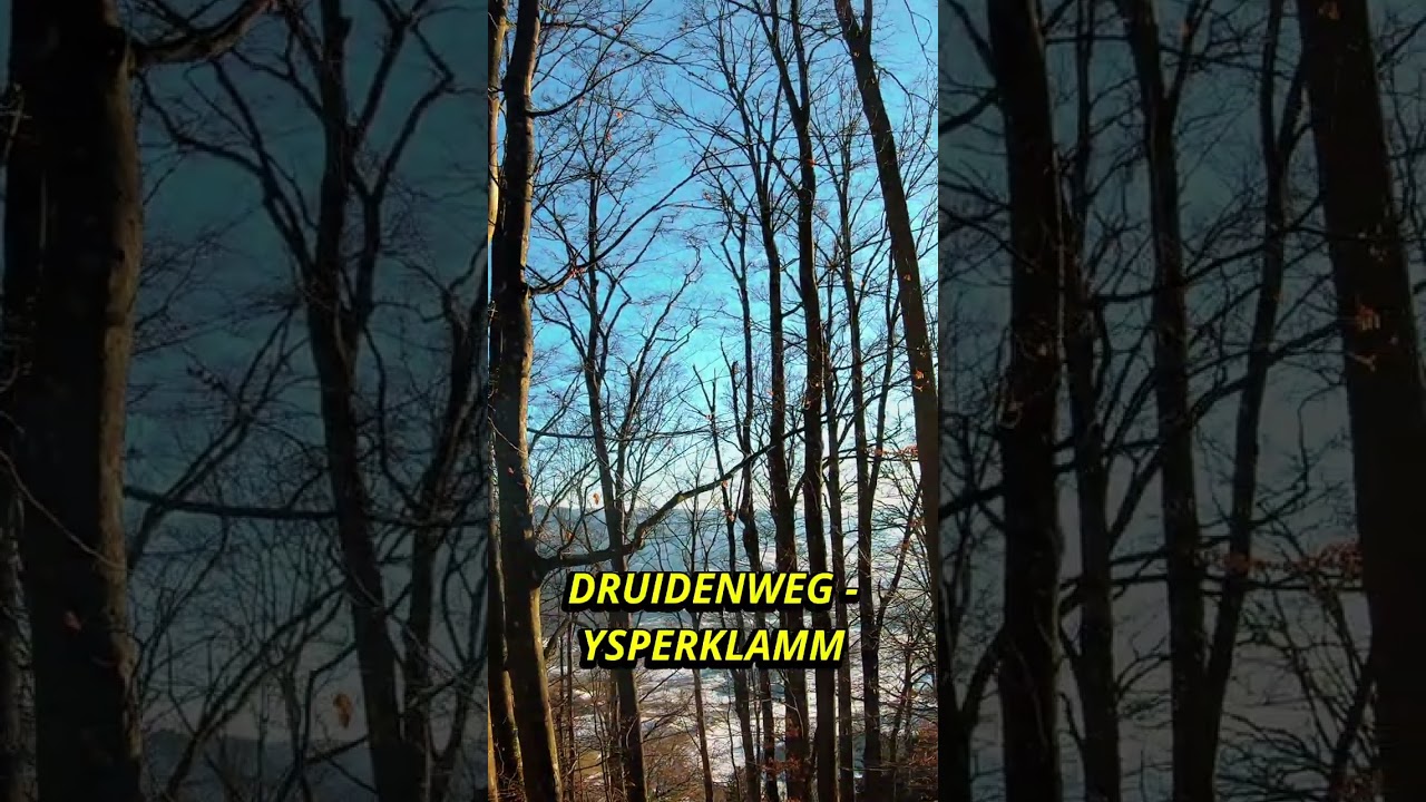 POV: Dein Hund kennt geheime Wege 🐕 Druidenweg Niederösterreich