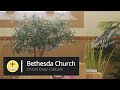 Bethesda Church - August 3, 2025 - Dangerous Teachings – Matthew 16:5-12