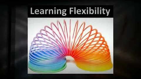 02-Deborah Goldman The Common Characteristics of E...