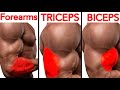 أفضل تمارين لتويبع البايسبس وترايسبس والساعد بسرعة - Biceps Triceps Forearms Workout