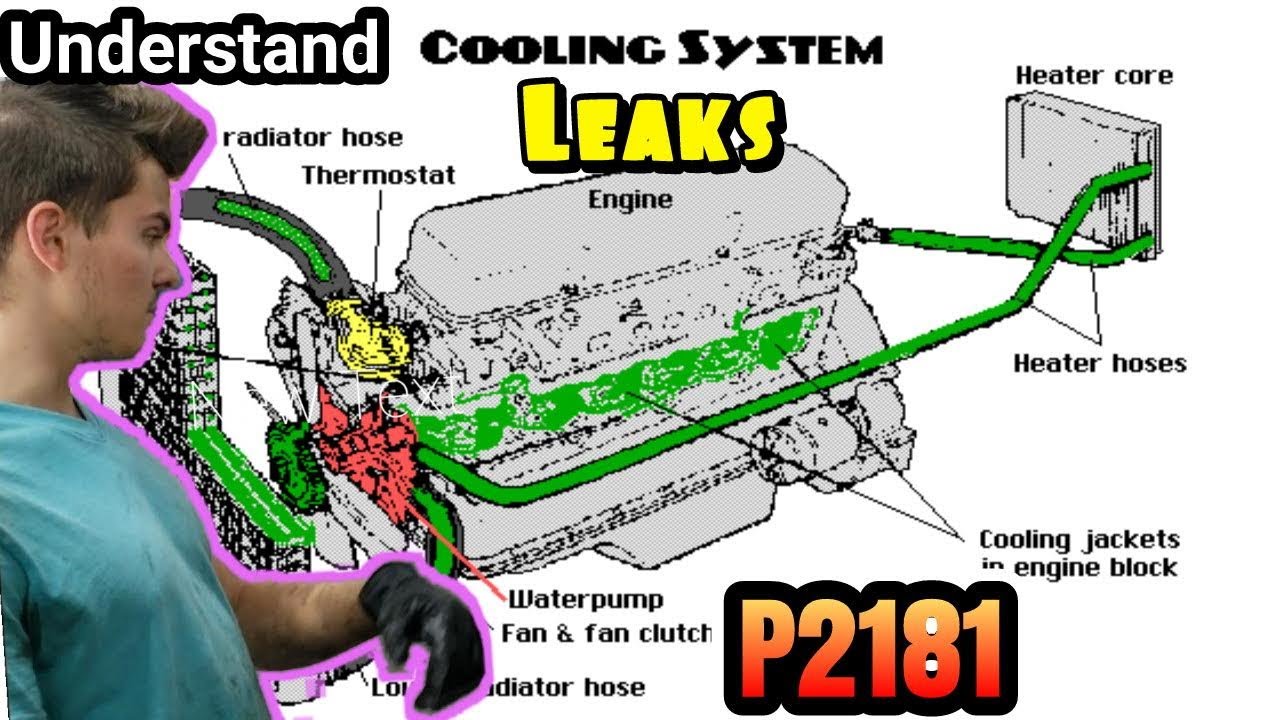 Signs your water pump bad. Learning how to diagnose coolant leaks. Tips