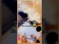 حاول وحاول اياك ان تتوقف قف لوحدك وكن قويا
