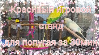 Игровой стенд для попугая своими руками за 30 минут😁