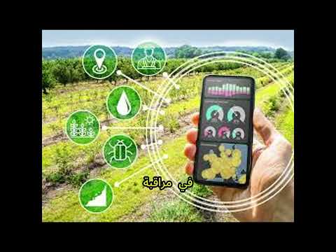 أفريقيا الزراعية بين الابتكار والتحديات نشرة أخبار السلة الخضراء ٢٥ سبتمبر ٢٠٢٥