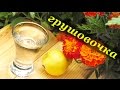 Рецепт самогона из груш (грушовочка), необычная брага