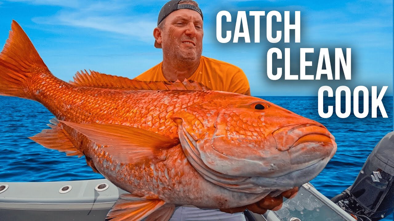 GIANT SNAPPER  - Catch And Cook & Adventure (Re-Edit)