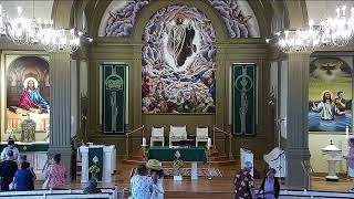 15th Sunday in Orinary Time