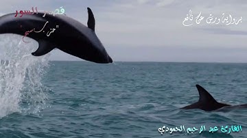 قصار السور للقارئ عبدالرحيم الحمودي الجزء الأول