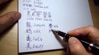Writing with PILOT ELABO (SM nib) Fountain pen