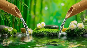 Soothing Music + Water Sounds 🍃 Relaxing Music for Stress Relief, Spa Music Relaxation, Deep Sleep
