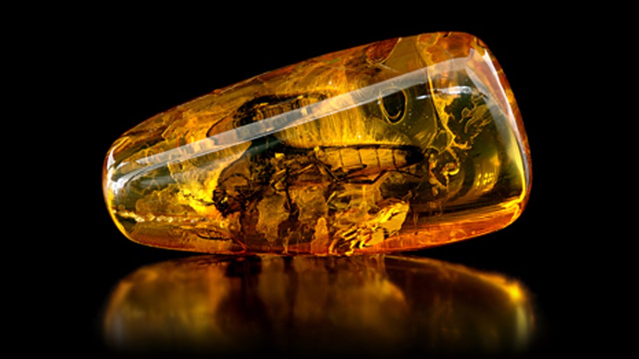 Tipos de Ámbar y Antigüedad