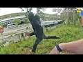 Bodycam Shows Officers Catch Fleeing Suspect After Burglary in Atlanta, Georgia