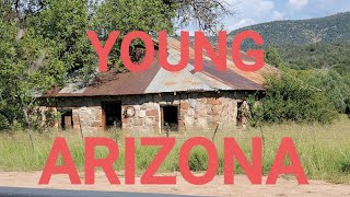 Young Arizona