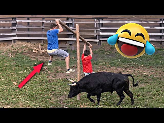 Try Not To Laugh 🤣 Top 100 Funniest Videos 2026 🔥😅  Hilarious Fails , Memes & Pranks Part 3