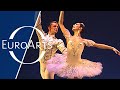 Tchaikovsky - The Sleeping Beauty (Oksana Kutcheruk &amp; Roman Mikhalev) | Ballet Gala Prague (8/11)