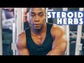 4 HERBS with natural steroid effects for bodybuilding & muscle gain