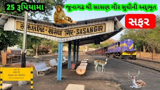 Junagadh thi Sasan Gir ના જંગલમાં ટ્રેનમા સફર  || Bm Rojasra