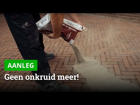 Video: Waarom word ouksiene in onkruiddoders gebruik?