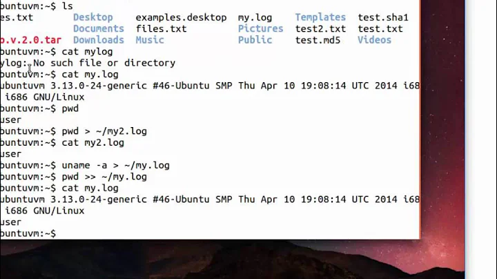 Introduction to Computer Forensics - Capturing Output of Linux Commands