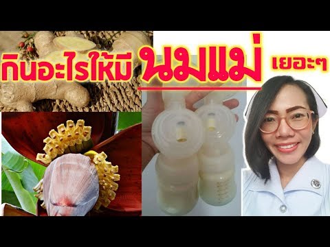 กินอะไรและทำยังไงให้มีนมแม่เยอะๆให้ลูกกิน| Nurse Kids