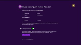 TUTORIAL: Private Browsing on Firefox screenshot 4