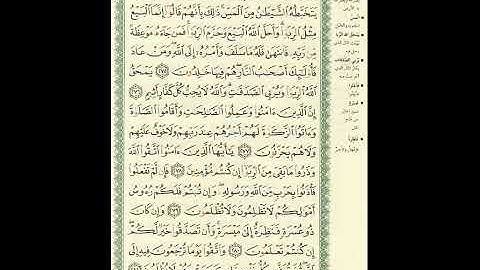 المصحف المرتل برواية حفص عن عاصم الصفحة رقم 47 #القرآن_الكريم #اكسبلور #المصحف #تيك_توك
