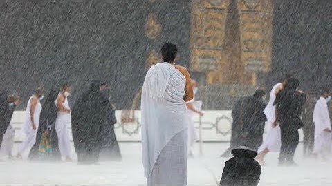 تلاوات رمضانية ١٤٤٣| القارئ: ثامر بن محمد العامري