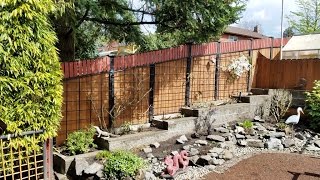 This video shows how I built a metal garden trellis. The trellis is mounted along a fence and used for Evergreen Clematis vines to 