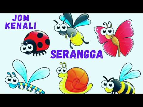 Video: Pelajaran Mengenai Serangga – Mengajar Kanak-kanak Mengenai Pepijat Di Taman