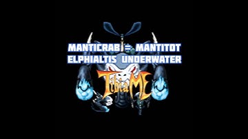 Manticrab is Now MANTITOT | TibiaME