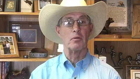 Dr. Tom Noffsinger On Low-Stress Cattle Handling