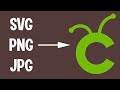 How to Use SVG PNG and JPG in Cricut Design Space for Beginners