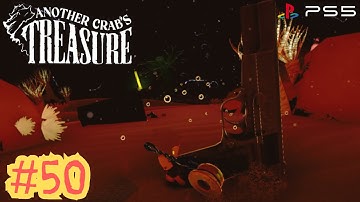 Shell Collecting - Another Crab