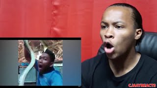 When Animals Fight Back #6 | CJAAYREACTS REACTION!!!