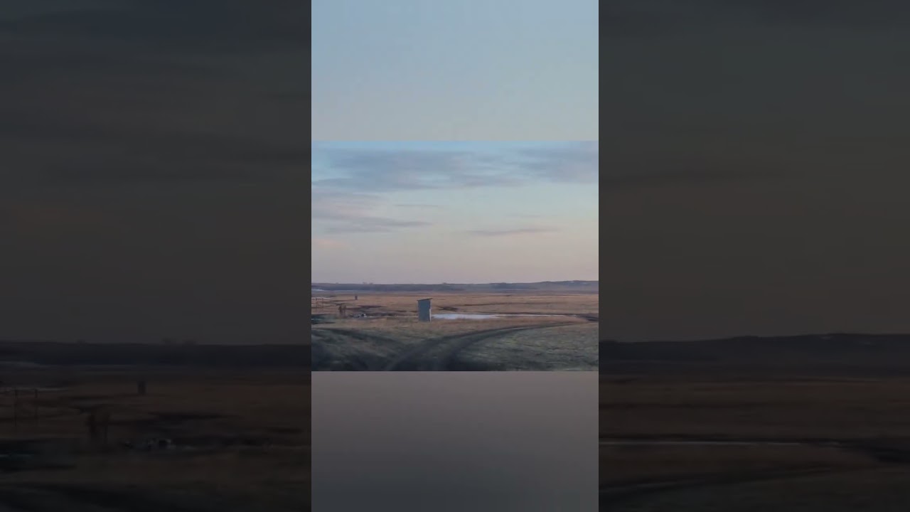 Классный водоём 