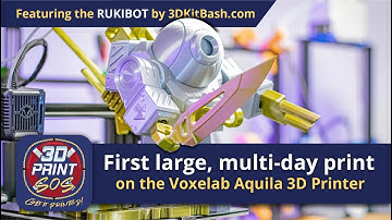 First large, multi-day print on the Voxelab Aquila 3D Printer