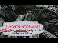 6 months into plants  raw and unstaged reality of this hobby or addiction  houseplant tour plants