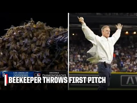 Dodgers Vs. Diamondbacks Delayed By Bees Beekeeper Throws First Pitch 🐝 Espn Mlb